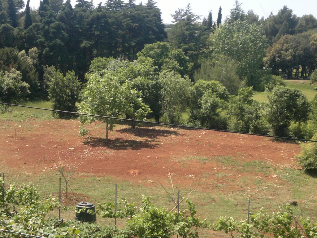 Lino Apartments Ρόβινι Εξωτερικό φωτογραφία