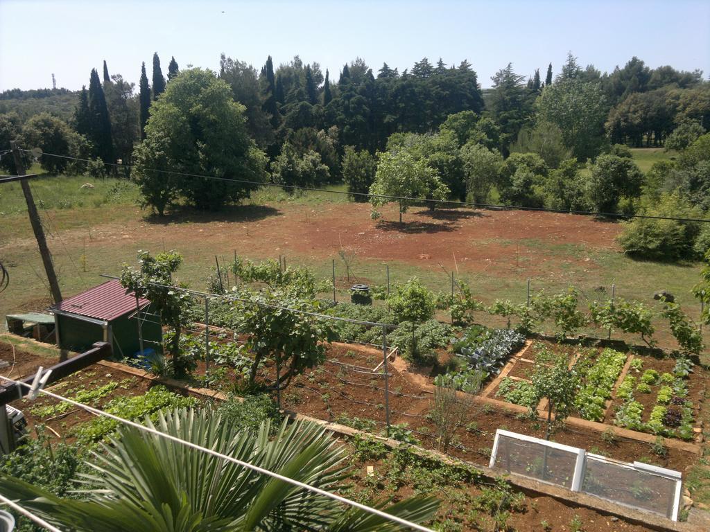 Lino Apartments Ρόβινι Δωμάτιο φωτογραφία