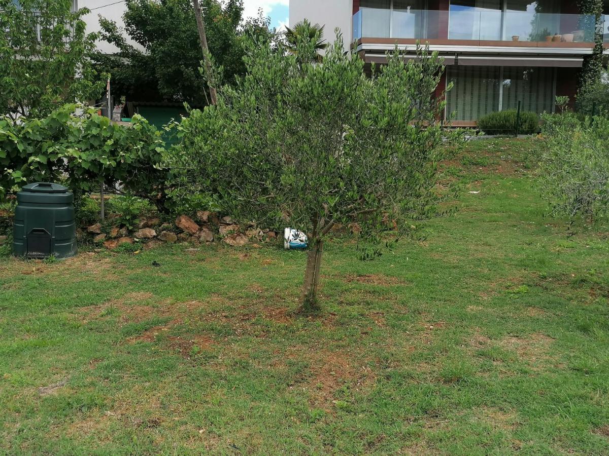 Lino Apartments Ρόβινι Εξωτερικό φωτογραφία